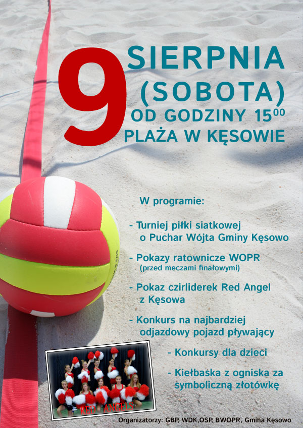 plakat siatkowka 2014